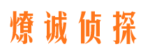 正阳市场调查